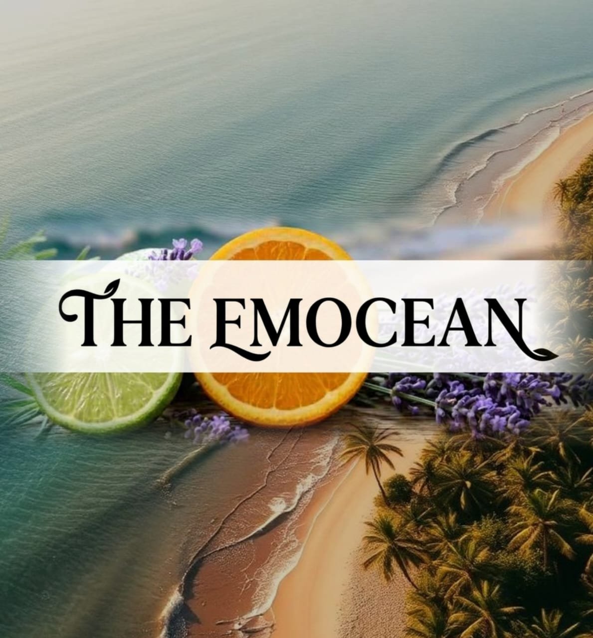 THE EMOCEAN Ficus Decora Cabernet